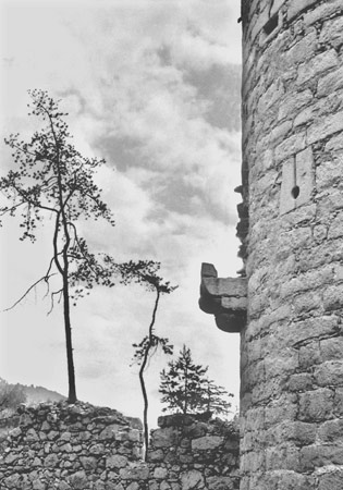 Torre della Chiusa di Haslach - Val Pusteria - Alto Adige