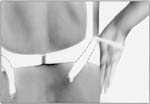 dalla serie "La linea armonica"