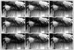 dalla serie "Popular Madre Teresa"