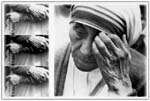 dalla serie "Popular Madre Teresa"
