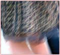 sensualcolor_03